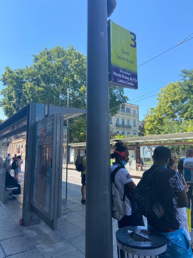 Magnifique Duplex Climatisé En Centre Ville Appartamento Montpellier Esterno foto